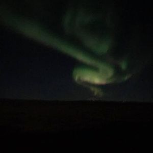 Meet your Posher, Janet